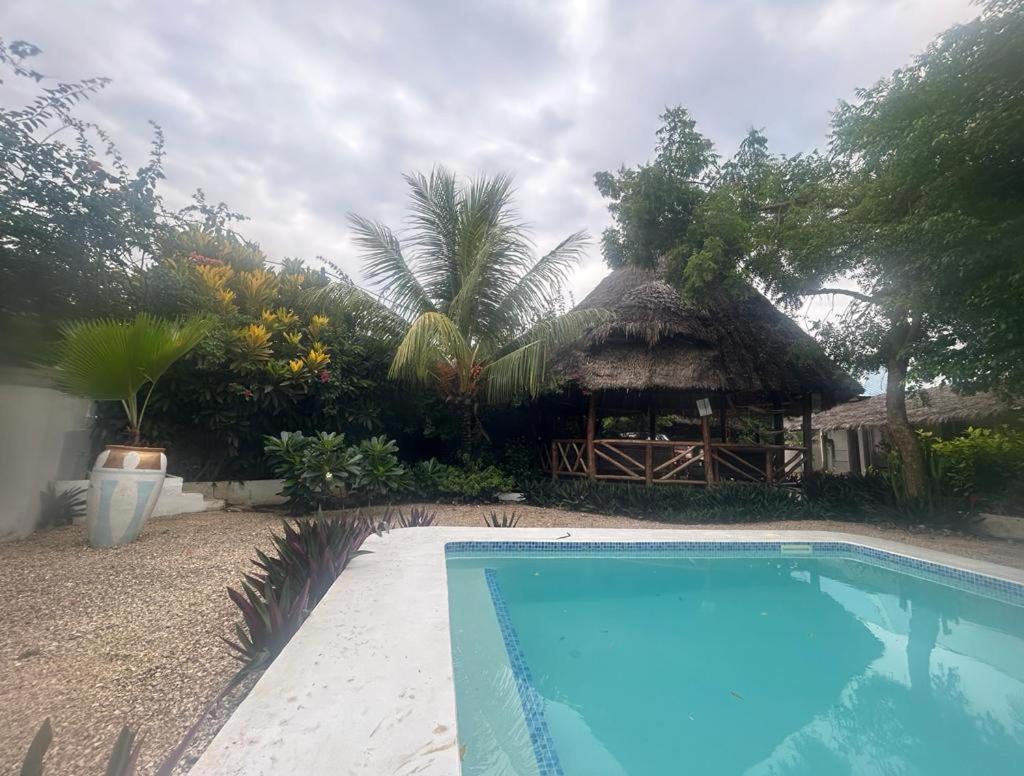Villa Vanilla à Nungwi Extérieur photo