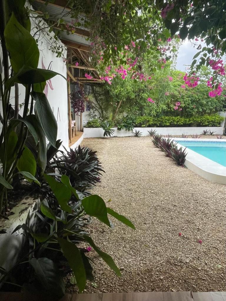 Villa Vanilla à Nungwi Extérieur photo