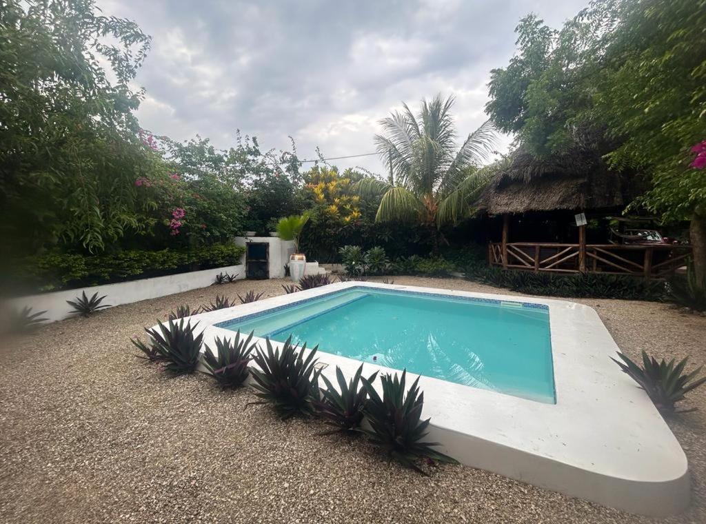Villa Vanilla à Nungwi Extérieur photo